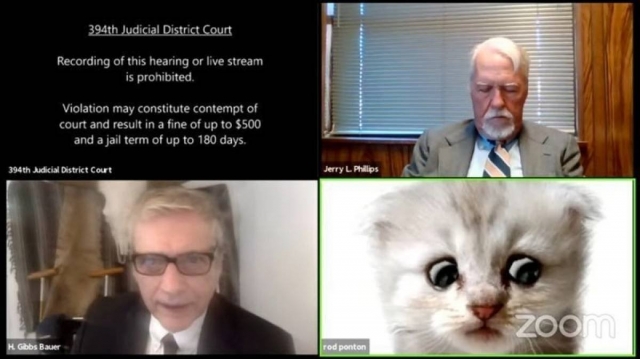 ‘I’m here live, I am not a cat’ - Lawyer tells judge after appearing with cat filter ‘I’m here live, I am not a cat’ - Lawyer tells judge after appearing with cat filter